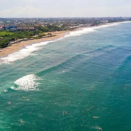 The Commotion Canggu